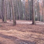 miglioramenti ambientali (3)
